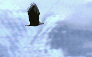 华侨城Ａ：公司将持续关注市场动态积极把握市场机遇